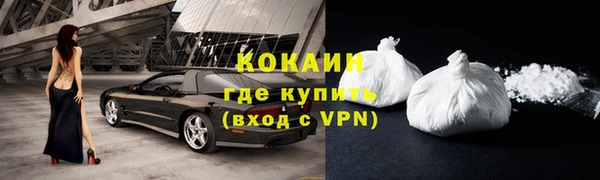 гидра Аркадак