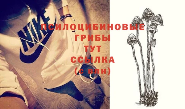стаф Баксан
